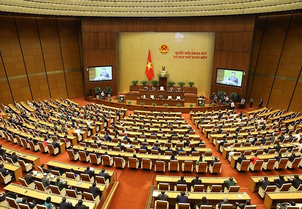 Le nouveau ministre Bui Thanh Son presente les priorites diplomatiques du Vietnam hinh anh 6