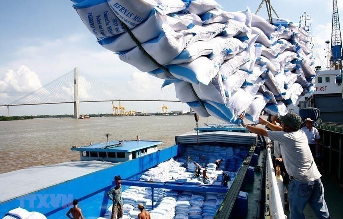 Le prix a l'exportation du riz vietnamien a un niveau eleve hinh anh 1