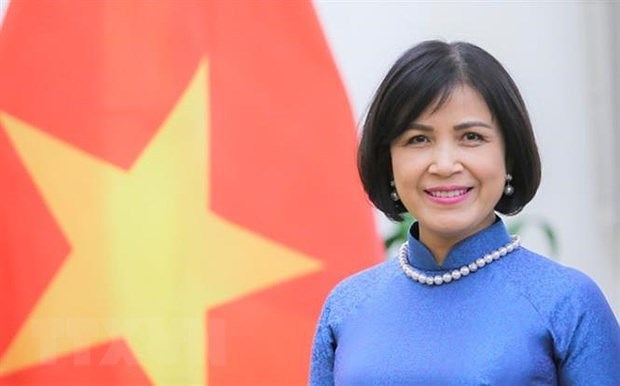 Le Vietnam participe aux negociations de fevrier de l'OMC sur les subventions a la peche hinh anh 1