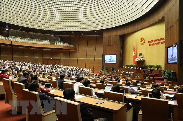 Депутаты продолжили обсуждение социально-экономических вопросов hinh anh 1