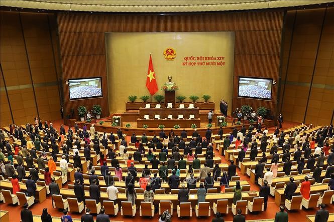 Закрылась 11-ая последняя сессия Национального собрания 14-го созыва hinh anh 2