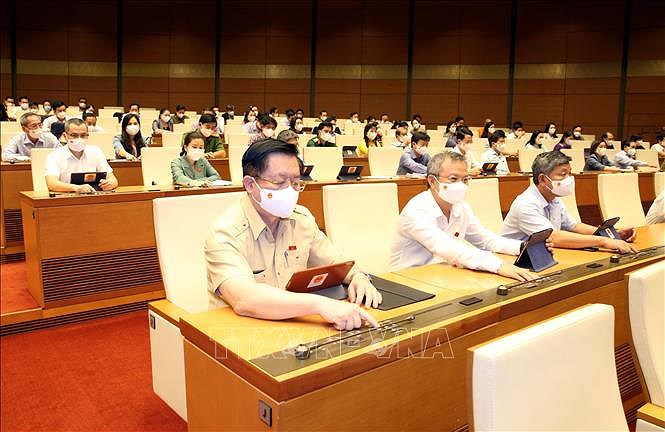 Первая сессия Национального собрания 15-го созыва: Принята Резолюция о 5-летнем плане социально-экономического развития на 2021-2025 годы hinh anh 1