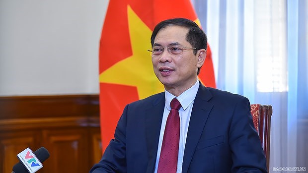 Пробуждать потенциал у зарубежных вьетнамцев, способствуя развитию страны hinh anh 1