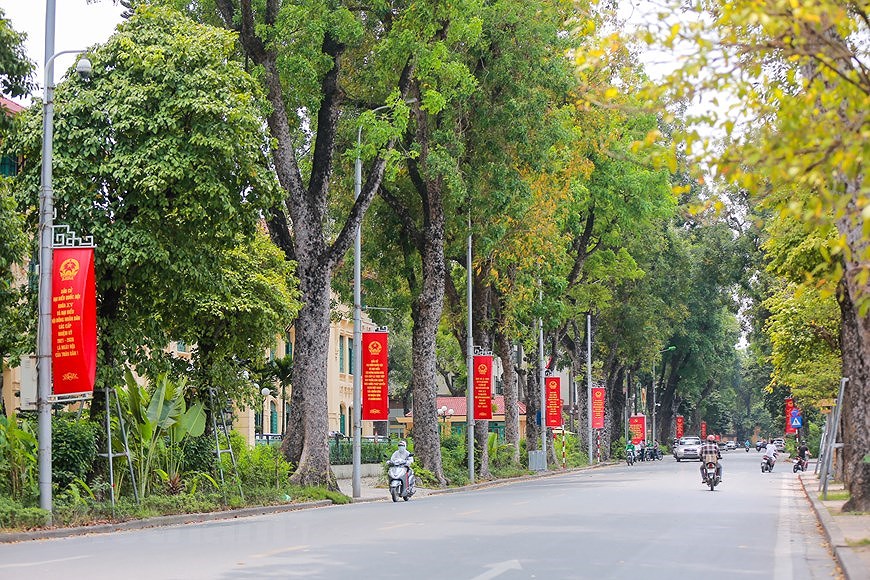 Улицы Ханоя ярко украшены флагами и цветами, чтобы приветствовать большои всенациональныи праздник hinh anh 17